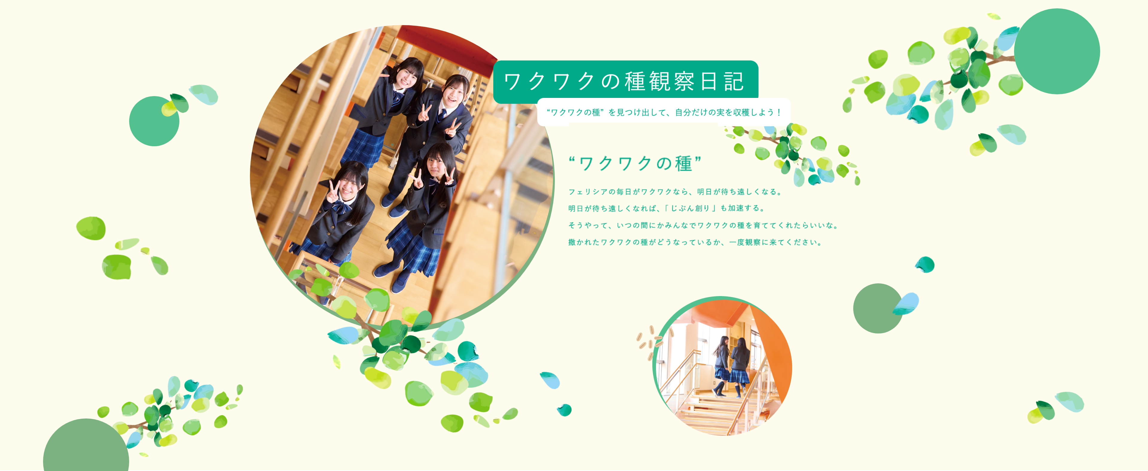 ファーストビュー画像