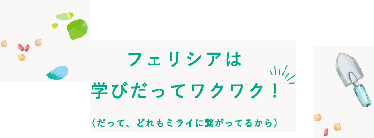 セクションタイトル